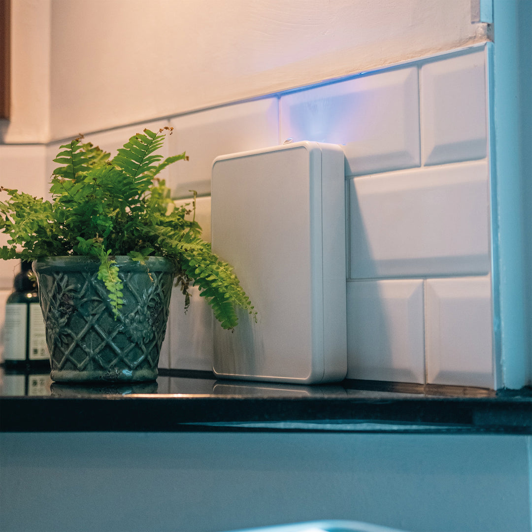 DC battery operated scent machine in a bathroom environment with green plants