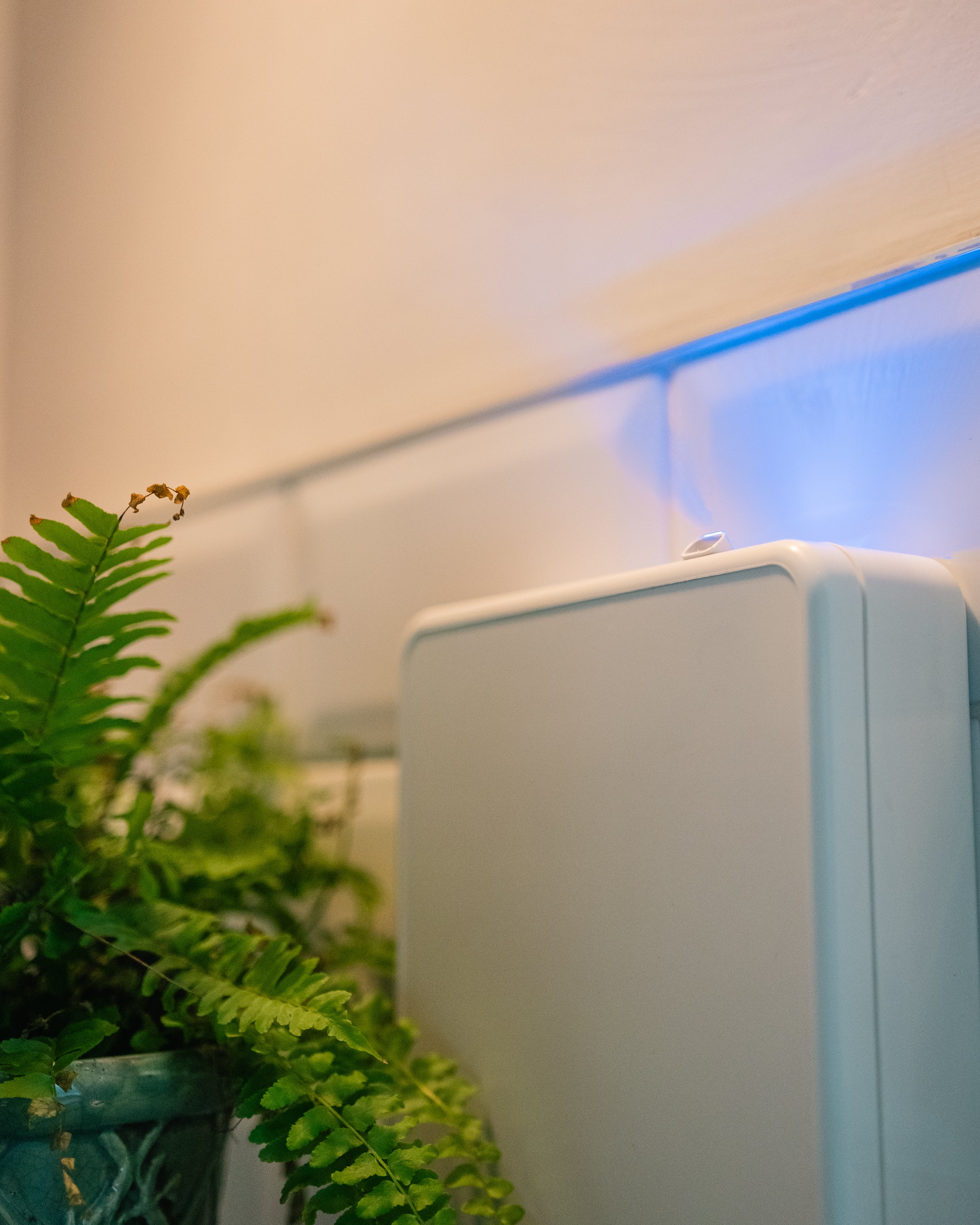 DC battery operated scent machine in a bathroom environment with green plants